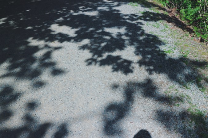 Processed with VSCO with f2 preset