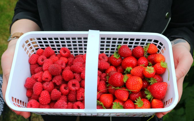 berry basket