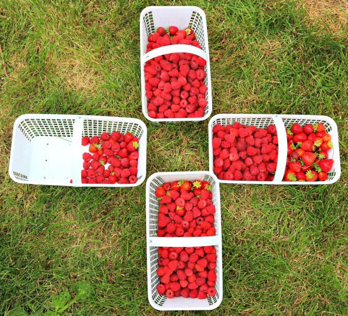 berry