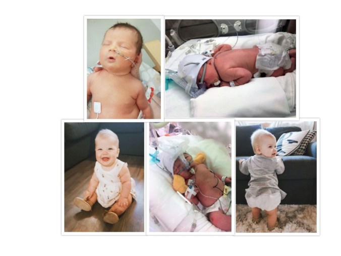 Isla fundraiser collage