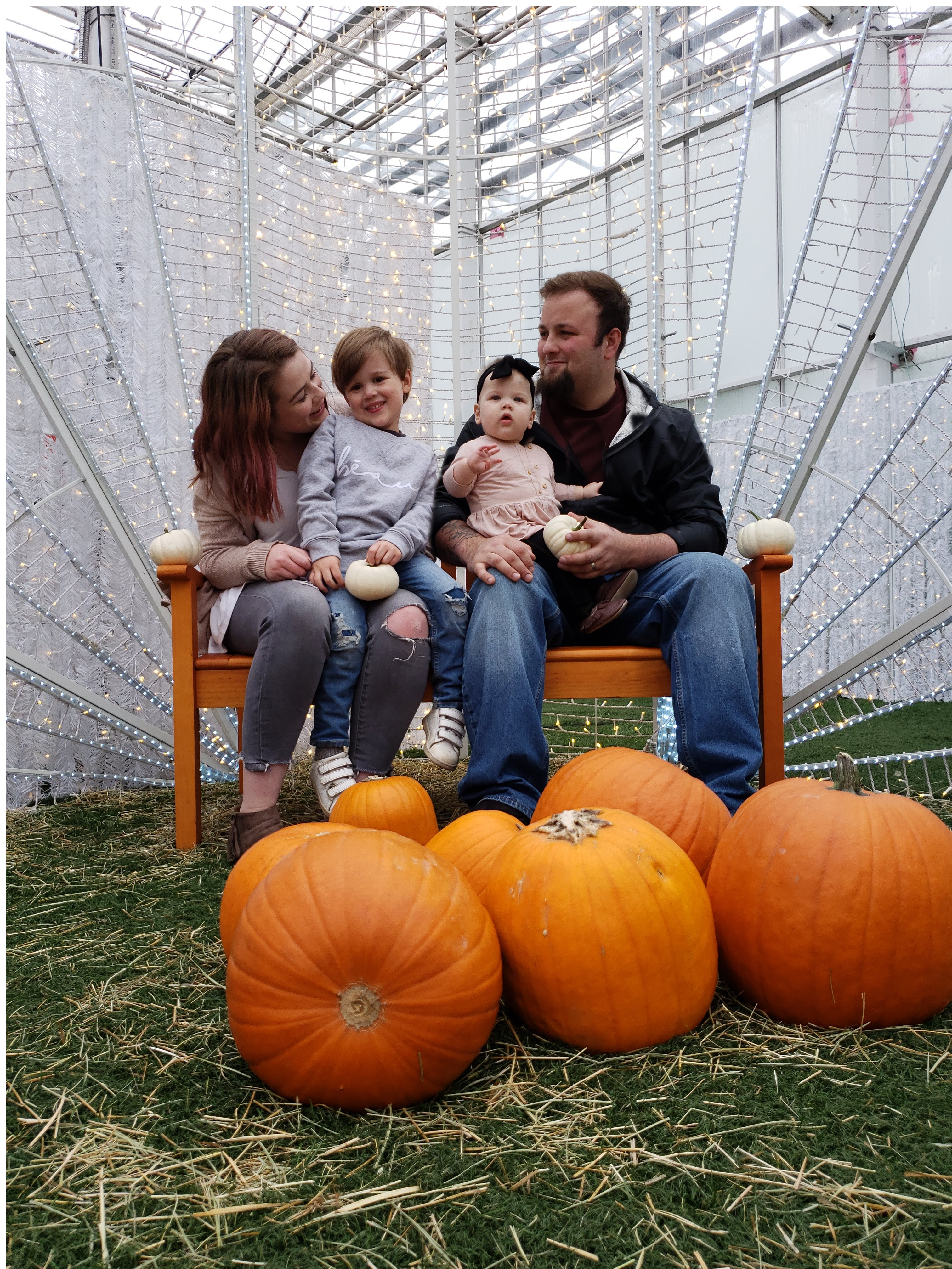 Glow pumpkin patch 2 (1).png