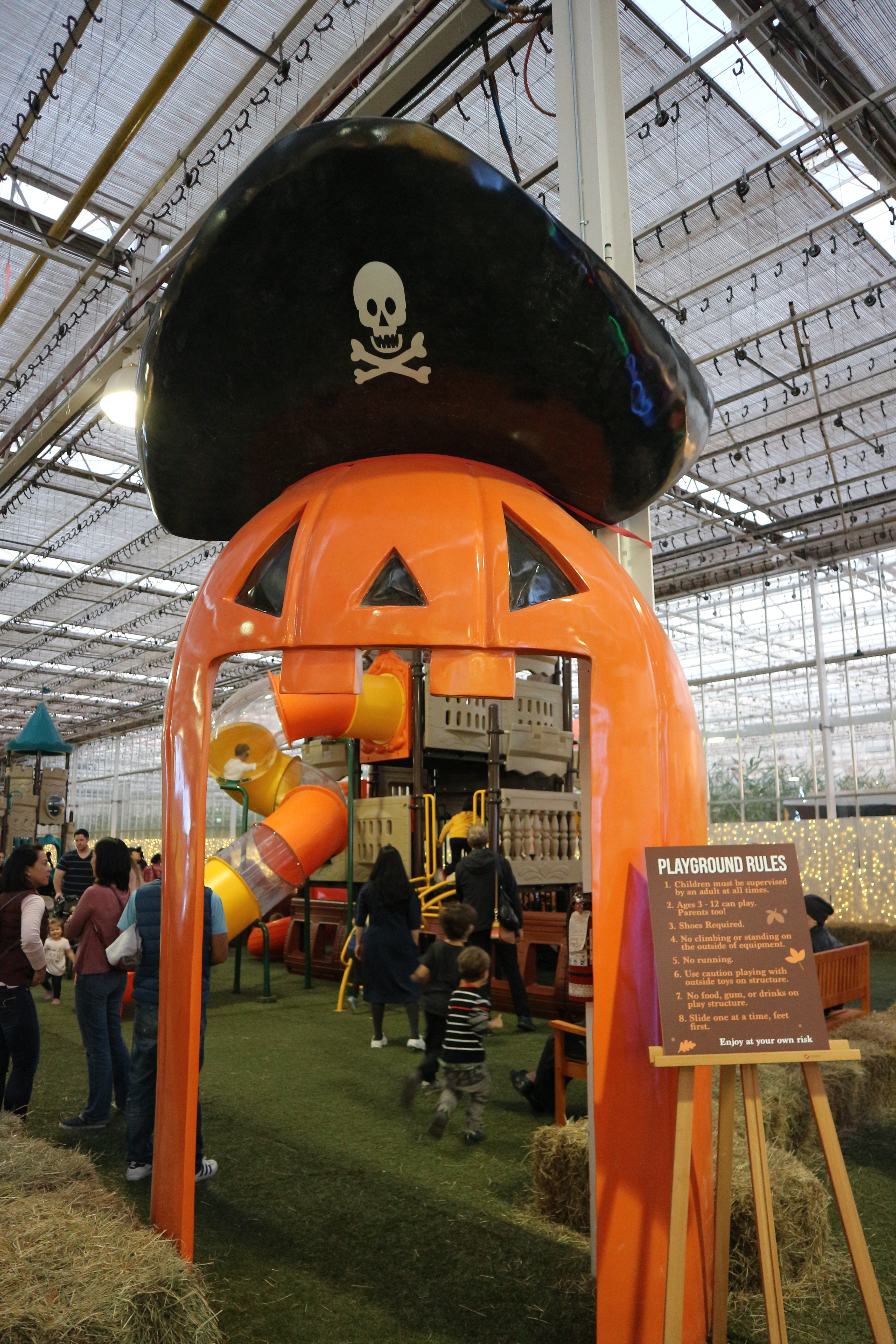 IMG_0917